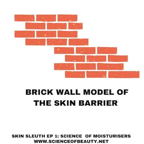 Brick Wall Model of Skin Barrier